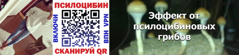 Галлюциногенные грибы мицелий OMG Ишимбай